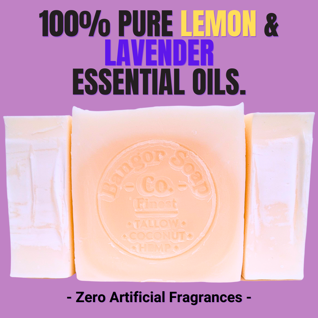 Sweet Lemon Lavender | 3-Pack